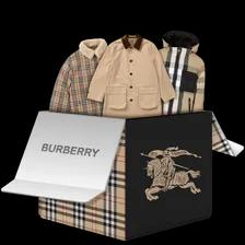 Burberry case