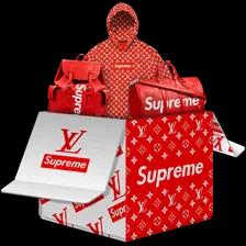 Supreme x LV case