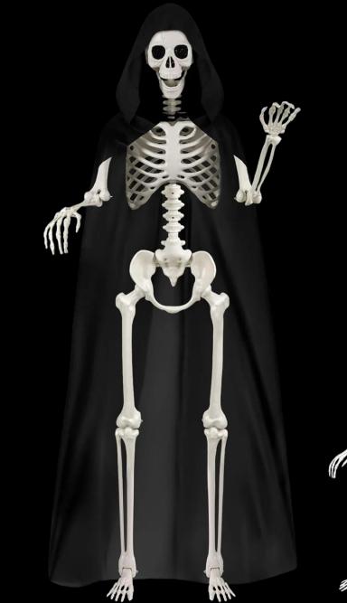 5.4Ft Halloween Life Size Skeleton Decoration