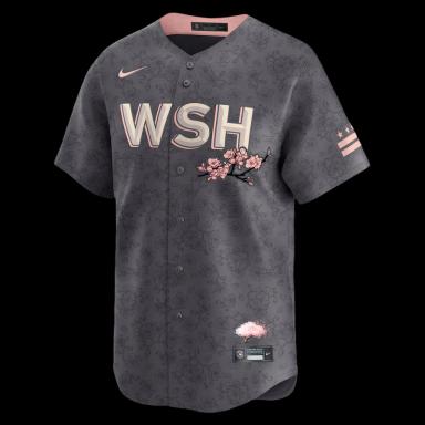 Men's Washington Nationals Nike Charcoal City Connect Limited Jersey