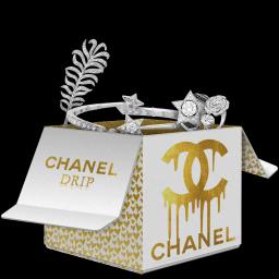 Chanel Drip case