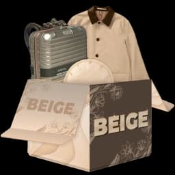 Beige case