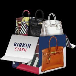 Birkin Stash case