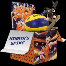 Hinata’s Spike case