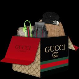 Gucci Grandeur case