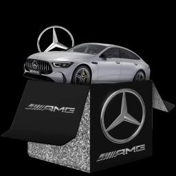 AMG case