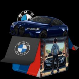 BMW Boys case