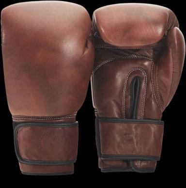 Pro Heritage Brown Leather Boxing Gloves