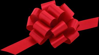 Red Christmas Gift Bow