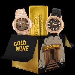 Gold Mine case