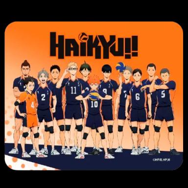 Haikyu!! - Karasuno Team Mouse Pad