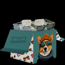 Shades case