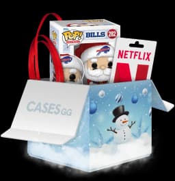 Blizzard Blessings case