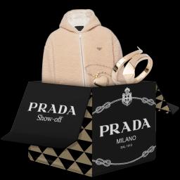 Prada Show-off case