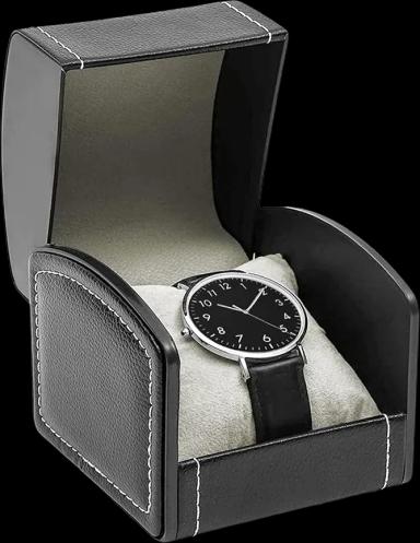 Single Watch Case