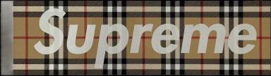 Supreme Burberry Box Logo Sticker