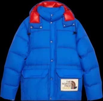 Gucci x The North Face Down Jacket Blue (US L)