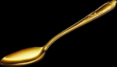 Golden Spoon