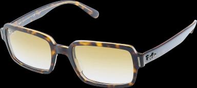 Ray-Ban Square Sunglasses Tortoise (0RB2189 1292W152)