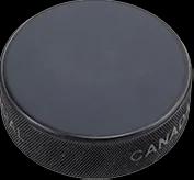 Hockey Puck