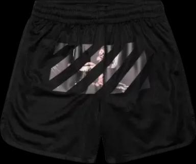 OFF-WHITE Caravaggio Arrows Mesh Shorts Black/Multicolor