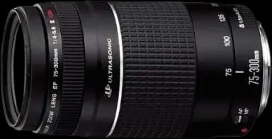 Canon EF 75-300mm Zoom Lens for Canon SLR Cameras