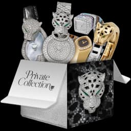 Private Collection case