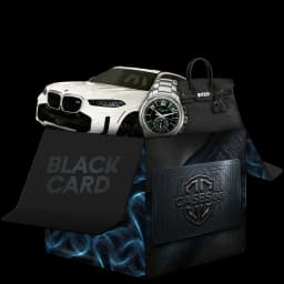 Black Card case