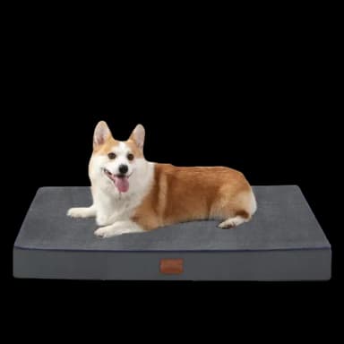 Dog Bed