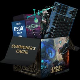 Summoner’s Cache case