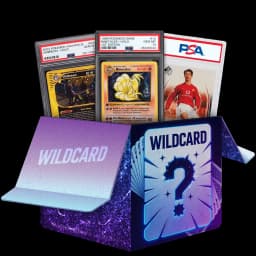 Wildcard case