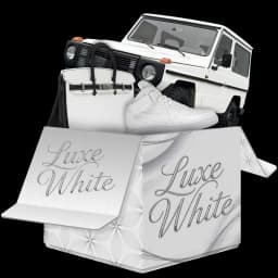 Luxe White case