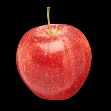 Gala Apple