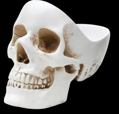 Skull Jewelry Organizer & Key Holder