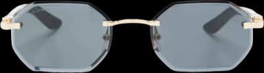 Cartier CT0439S